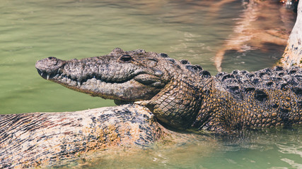 Paseo por Yucatán