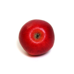 Fresh red apple
