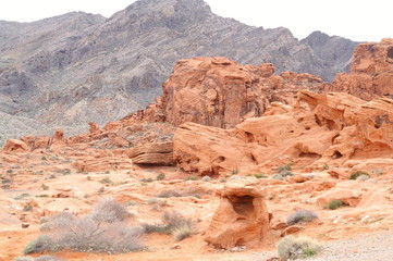 Fototapeta premium Valley of Fire