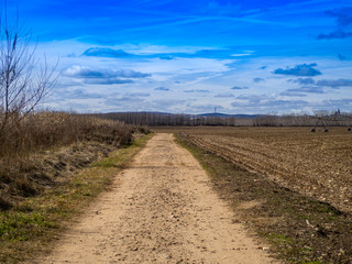 Landscape with a dirt road in nature on a cloudy day