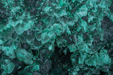 Dark green fibrous Malachite cluster from Shaba Province, Zaire.