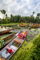The beauty of Dal lake and the beautiful Shikaras during sunrise and sunset is the most charming thing in Kashmir - 253314594