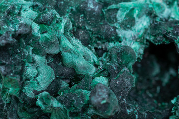 Dark green fibrous Malachite cluster from Shaba Province, Zaire.