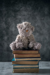 Dog doll on six books, Still life and child education concept