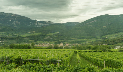 Fototapeta na wymiar Italy,La Spezia to Kasltelruth train, a large green field with a mountain in the background