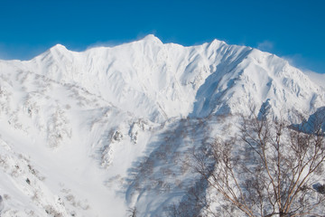 Fototapeta na wymiar Snow Ridge - 積雪の尾根