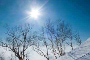 The Shining ridge of the morning sun - 朝日の輝く尾根