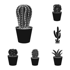 Vector design of cactus and pot sign. Collection of cactus and cacti stock symbol for web.