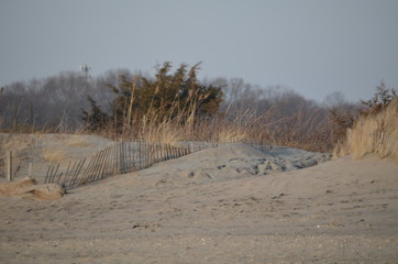 sandy dunes in winter