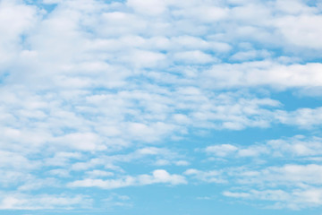 The soft white cloud in the sky.