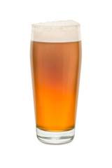 Craft Pub Glass with Beer #6