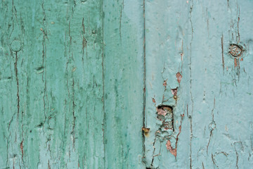 detail from old weathered green turquoise wood texture close-up