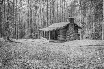 Donley Cabin, TN