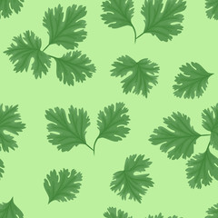 Fresh coriander seamless pattern on green background vector illustration of spices in cartoon simple flat style.
