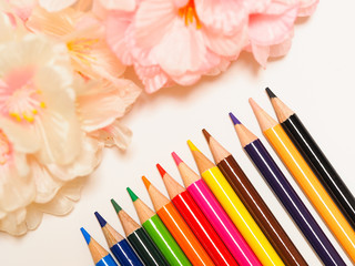 カラフルな文房具と桜