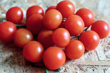 red cherry tomatoes on a branch