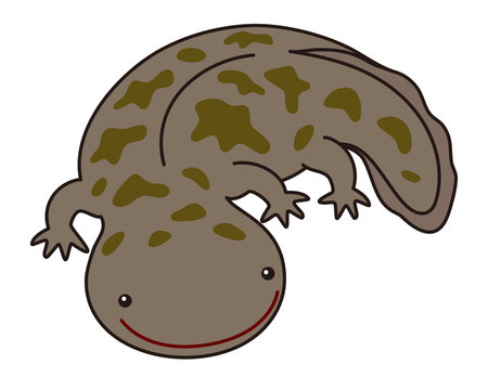 Japanese Giant Salamander Images Browse 294 Stock Photos Vectors And Video Adobe Stock