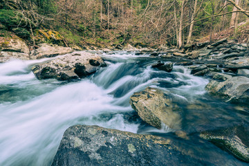 Rapids Above Baby Falls On The Tellico River, TN #3