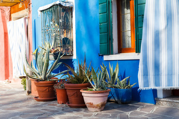 Fototapeta na wymiar Burano, Venezia, Italy. Details of the windows and doors of the colorful houses in Burano island