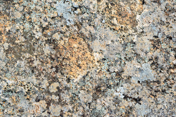 Stone texture of the big rock of Pedra Grande in Atibaia, Sao Paulo in Brazil