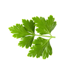Bunch leaves parsley isolated over white background