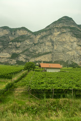 Naklejka premium Italy,La Spezia to Kasltelruth train, Salorno,