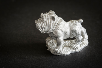 Tiny fighter dog small dog.