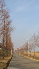 road in autumn