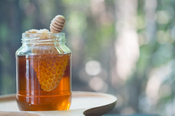 Sweet honeycomb and wooden Honey dripping. Honey dipper