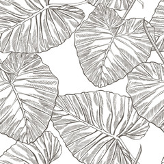 Jungle leaves seamless floral pattern background. Tropical palm leaves background. Graphic illustration in trendy style.