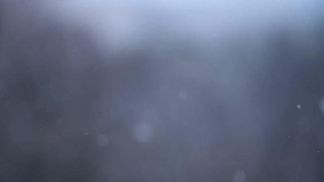 Heavy winter snowfall on the blurred trees backround