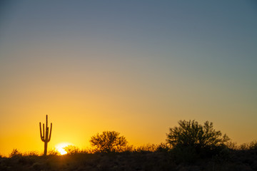 The sun setting over the desert under a cloudless sky with a saguaro cactus in the foreground.