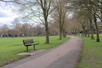 Obraz na płótnie Canvas empty bench in the park