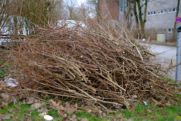Gestapelte Zweige nach dem Baumschnitt