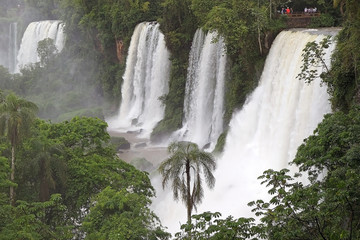 Iguazu Falls in the Argentine side