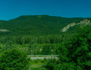 Italy,La Spezia to Kasltelruth train, a large green landscape with bushes