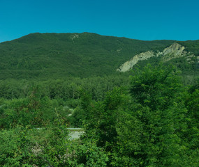 Italy,La Spezia to Kasltelruth train, a tree with a mountain in the background