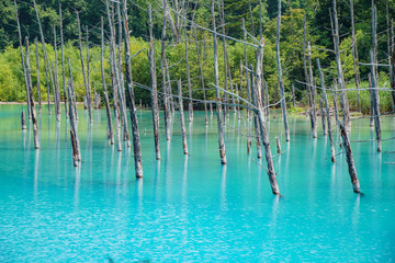 The beautiful Shirogane Blue Pond