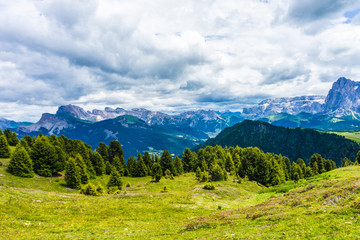 Fototapeta premium Alpe di Siusi, Seiser Alm with Sassolungo Langkofel Dolomite, a large green field with a mountain in the background