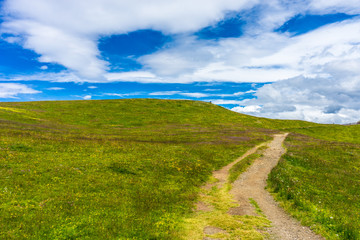 Alpe di Siusi, Seiser Alm with Sassolungo Langkofel Dolomite, a trekking walking winding path in a lush green fieldAlpe di Siusi, Seiser Alm with Sassolungo Langkofel Dolomite, a trekking walking wind