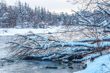 river isar in winter snow