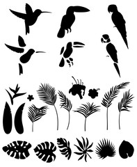 Set of silhouettes of palm leaves and other tropical plants and flowers and tropical birds isolated on white background for animation