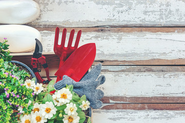 Top view on gardening a shovel filled with soil and flowers potted tool in the garden summer spring time, copy space.  Lifestyle Concept