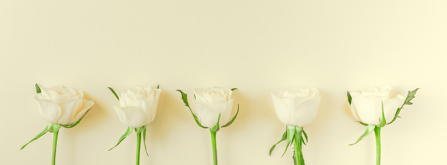 Naklejka na ściany i meble Fresh white roses composition