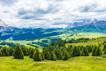Naklejka premium Alpe di Siusi, Seiser Alm with Sassolungo Langkofel Dolomite, a large green field with a mountain in the background