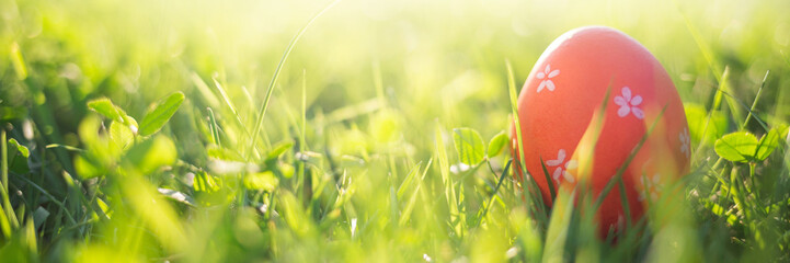 Easter eggs in spring grass in sun light. natural green background with selective focus. long banner