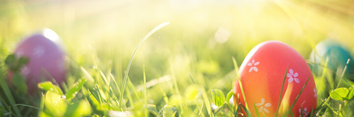 Easter eggs in spring grass in sun light. natural green background with selective focus. long banner