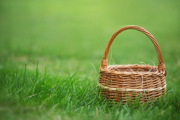 Fototapeta na wymiar empty basket for berries, mushrooms or eggs on the grass. green lawn.