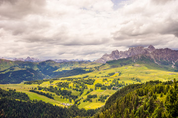Alpe di Siusi, Seiser Alm with Sassolungo Langkofel Dolomite, a field with a mountain in the background
