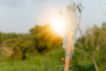 Empty plastic bottles are inserted into the wood to indicate the fields.